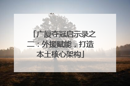 广厦夺冠启示录之二：外援赋能，打造本土核心架构