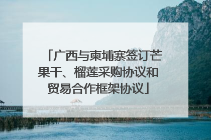 广西与柬埔寨签订芒果干、榴莲采购协议和贸易合作框架协议