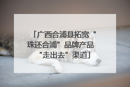 广西合浦县拓宽“珠还合浦”品牌产品“走出去”渠道