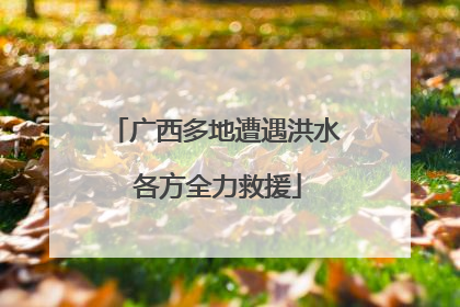 广西多地遭遇洪水 各方全力救援