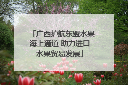 广西护航东盟水果海上通道 助力进口水果贸易发展