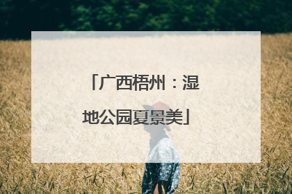 广西梧州：湿地公园夏景美