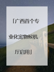 广西首个专业化宠物候机厅启用