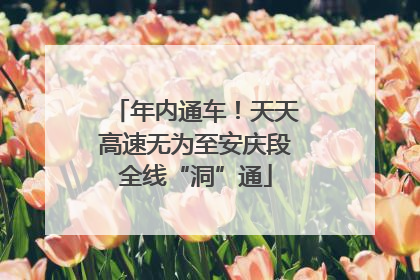 年内通车！天天高速无为至安庆段全线“洞”通