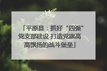 平原县：抓好“四强”党支部建设 打造党旗高高飘扬的战斗堡垒