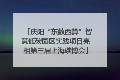 庆阳“东数西算”智慧低碳园区实践项目亮相第三届上海碳博会