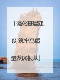 强化基层建设 筑牢高质量发展根基