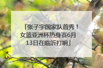 张子宇国家队首秀！女篮亚洲杯热身赛6月13日在临沂打响