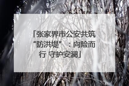 张家界市公安共筑“防洪堤”：向险而行 守护安澜