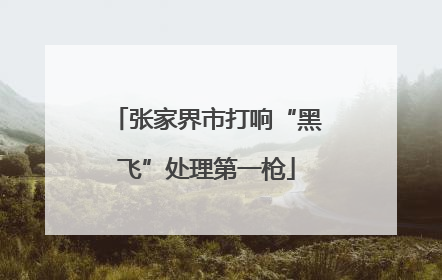 张家界市打响“黑飞”处理第一枪