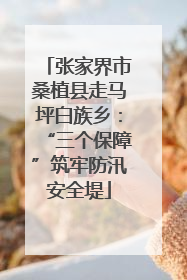 张家界市桑植县走马坪白族乡：“三个保障”筑牢防汛安全堤