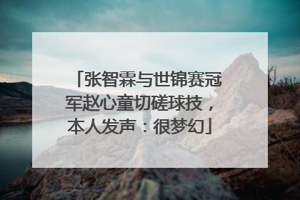 张智霖与世锦赛冠军赵心童切磋球技，本人发声：很梦幻