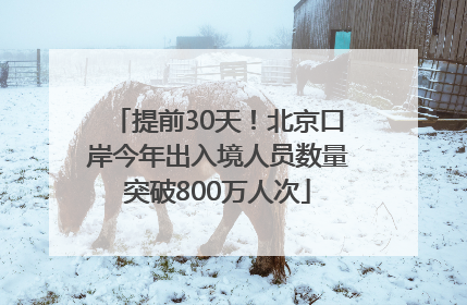 提前30天！北京口岸今年出入境人员数量突破800万人次
