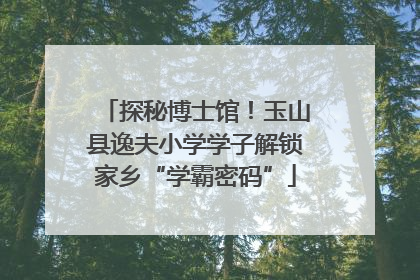 探秘博士馆！玉山县逸夫小学学子解锁家乡“学霸密码”