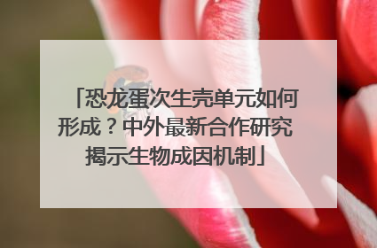 恐龙蛋次生壳单元如何形成？中外最新合作研究揭示生物成因机制