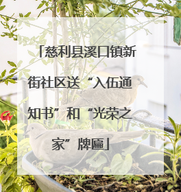 慈利县溪口镇新街社区送“入伍通知书”和“光荣之家”牌匾