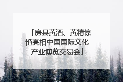房县黄酒、黄精惊艳亮相中国国际文化产业博览交易会