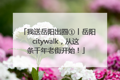 我送岳阳出圈①丨岳阳citywalk，从这条千年老街开始！