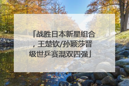 战胜日本新星组合，王楚钦/孙颖莎晋级世乒赛混双四强
