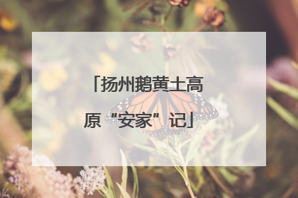 扬州鹅黄土高原“安家”记