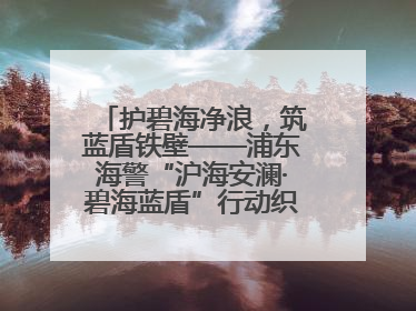 护碧海净浪，筑蓝盾铁壁——浦东海警“沪海安澜·碧海蓝盾”行动织密立体防控网