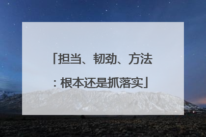 担当、韧劲、方法：根本还是抓落实