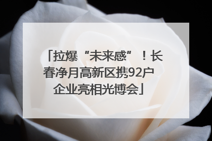 拉爆“未来感”！长春净月高新区携92户企业亮相光博会