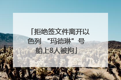 拒绝签文件离开以色列 “玛德琳”号船上8人被拘