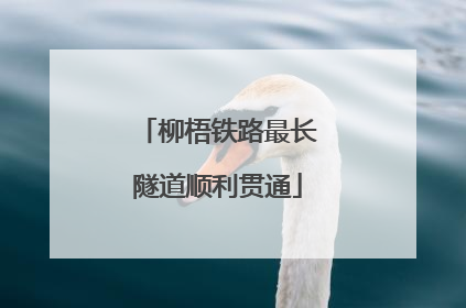 柳梧铁路最长隧道顺利贯通