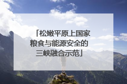 松嫩平原上国家粮食与能源安全的三峡融合示范