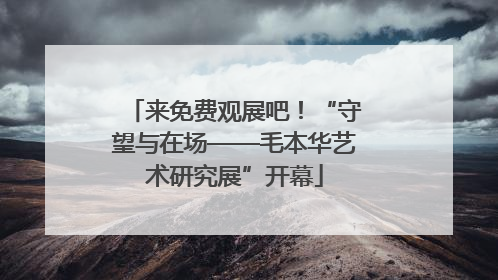 来免费观展吧！“守望与在场——毛本华艺术研究展”开幕