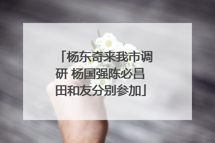 杨东奇来我市调研 杨国强陈必昌田和友分别参加