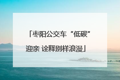 枣阳公交车“低碳”迎亲 诠释别样浪漫