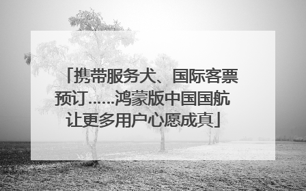 携带服务犬、国际客票预订……鸿蒙版中国国航让更多用户心愿成真