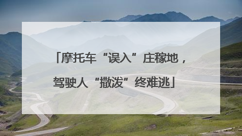 摩托车“误入”庄稼地，驾驶人“撒泼”终难逃