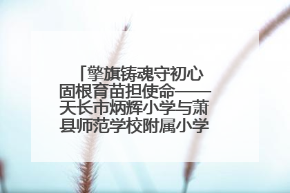 擎旗铸魂守初心 固根育苗担使命——天长市炳辉小学与萧县师范学校附属小学结对共建活动纪实