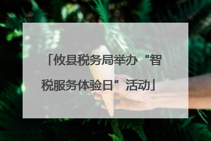 攸县税务局举办“智税服务体验日”活动