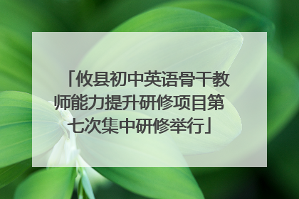 攸县初中英语骨干教师能力提升研修项目第七次集中研修举行