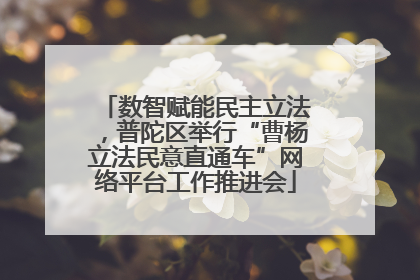 数智赋能民主立法，普陀区举行“曹杨立法民意直通车”网络平台工作推进会