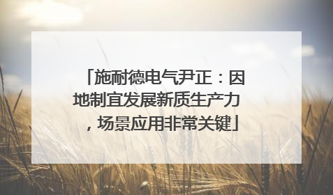 施耐德电气尹正：因地制宜发展新质生产力，场景应用非常关键