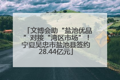 文博会助“盐池优品”对接“湾区市场”！宁夏吴忠市盐池县签约28.44亿元