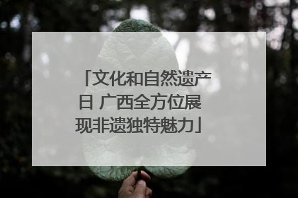 文化和自然遗产日 广西全方位展现非遗独特魅力