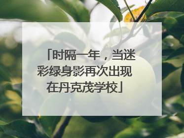 时隔一年，当迷彩绿身影再次出现在丹克茂学校