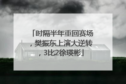 时隔半年重回赛场，樊振东上演大逆转，3比2徐瑛彬