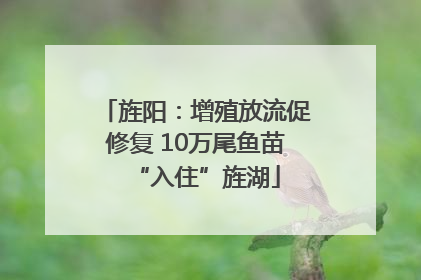 旌阳：增殖放流促修复 10万尾鱼苗“入住”旌湖