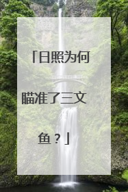 日照为何瞄准了三文鱼？