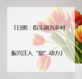 日照：街头镇为乡村振兴注入“甜”动力