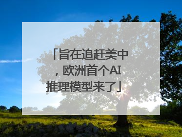 旨在追赶美中，欧洲首个AI推理模型来了