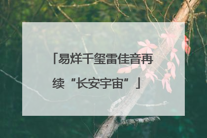 易烊千玺雷佳音再续“长安宇宙”