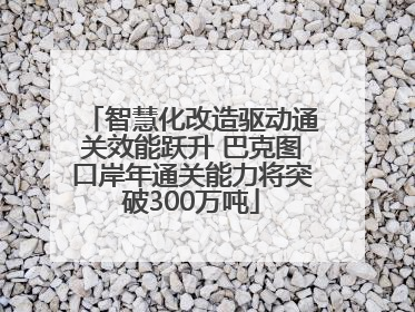 智慧化改造驱动通关效能跃升 巴克图口岸年通关能力将突破300万吨